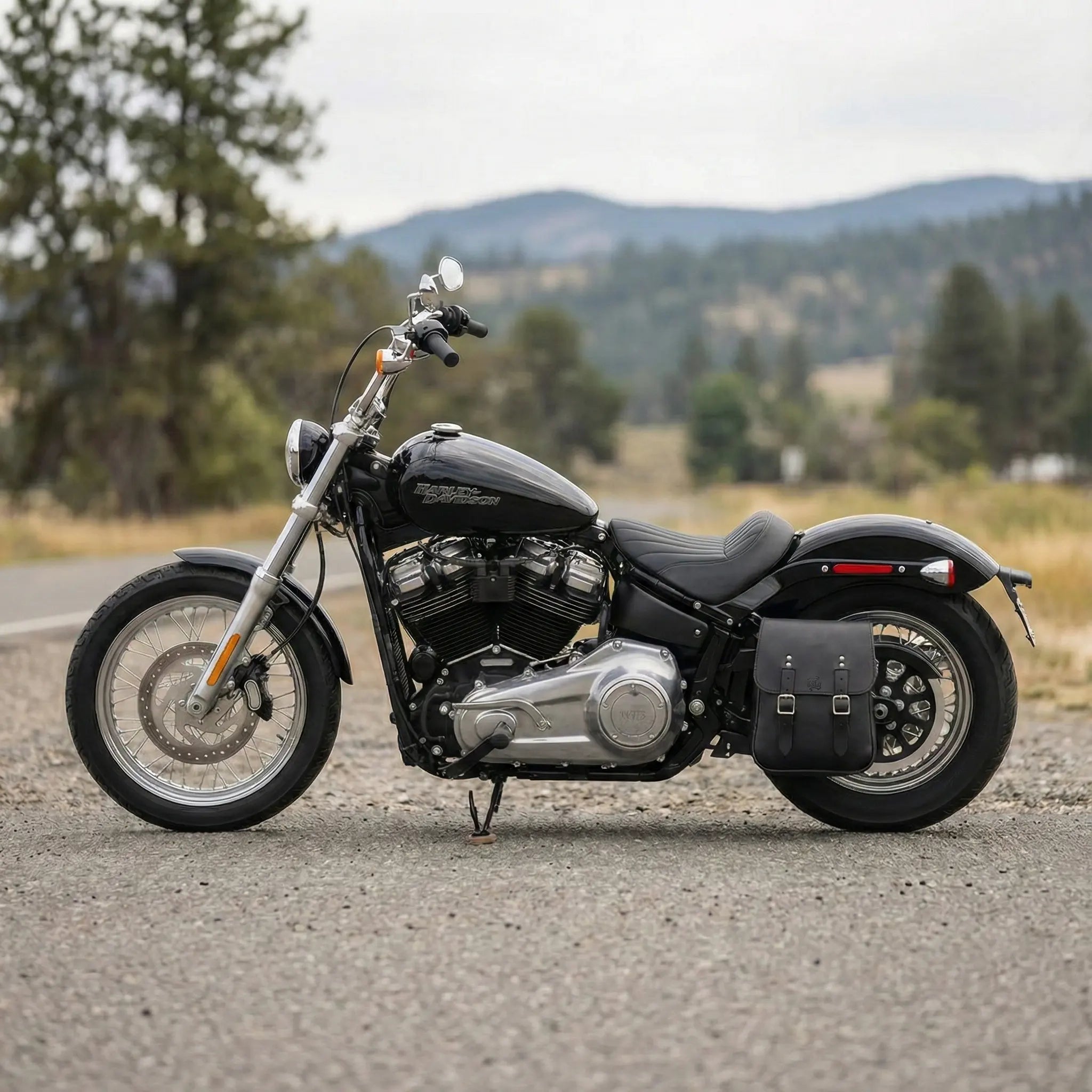 HD® Softail Solotasche für die linke Seite – SHL01