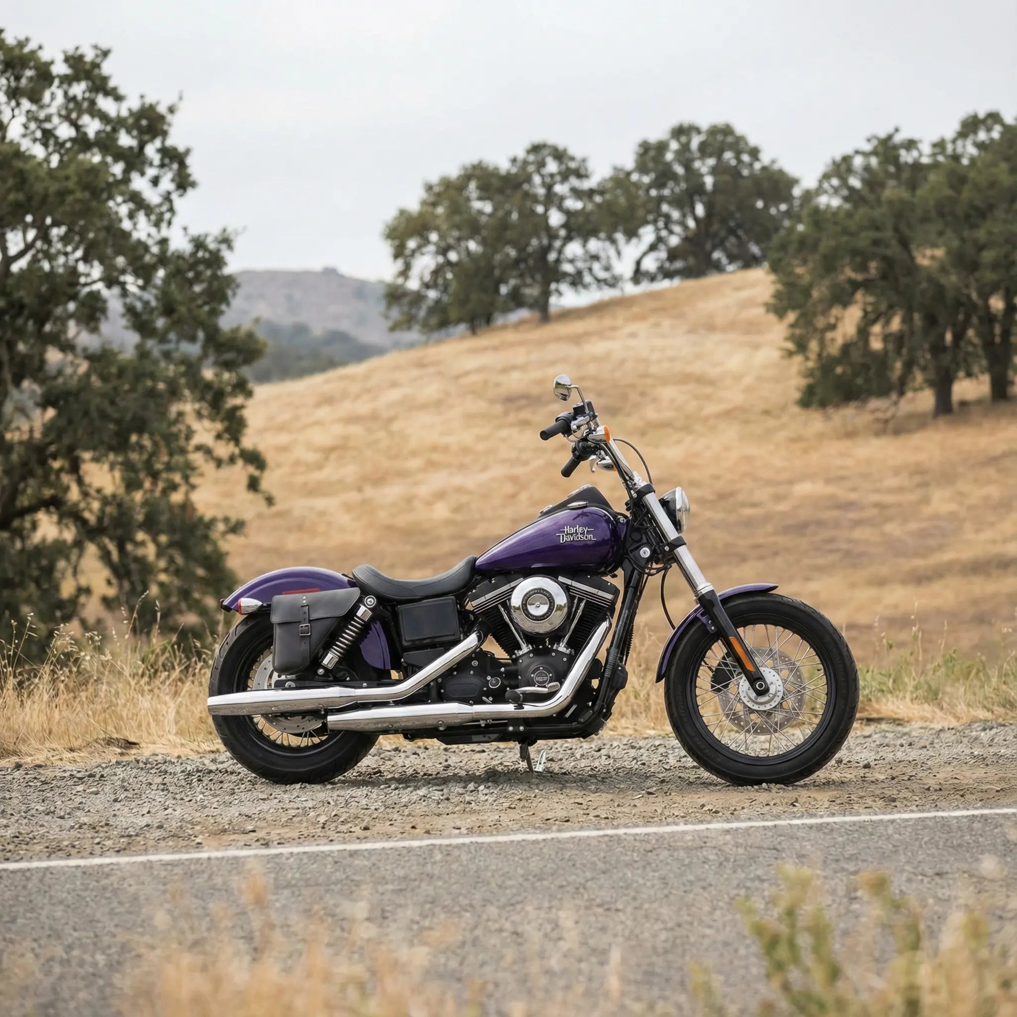 HD® Dyna 右側ソロバッグ - DR03