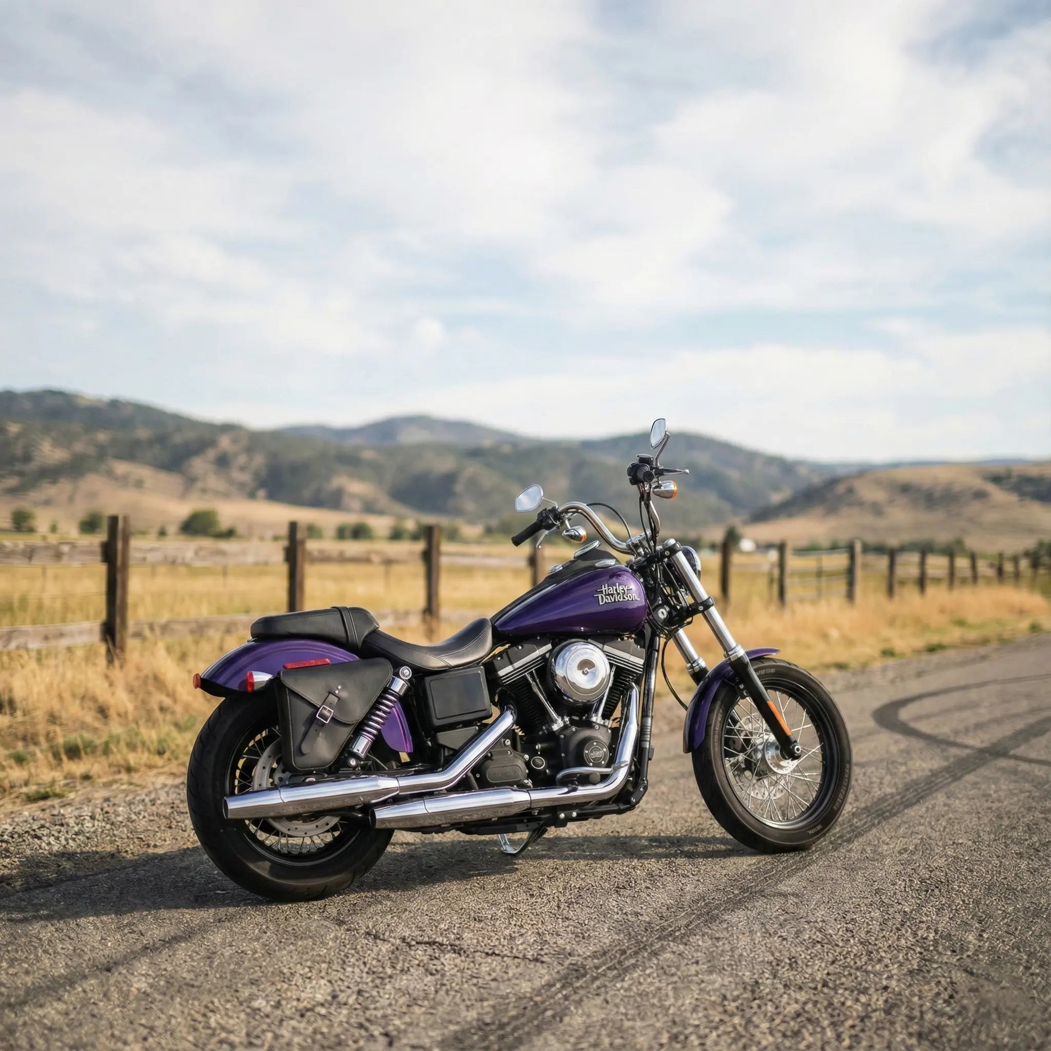 HD® Dyna 右側ソロバッグ - DR032
