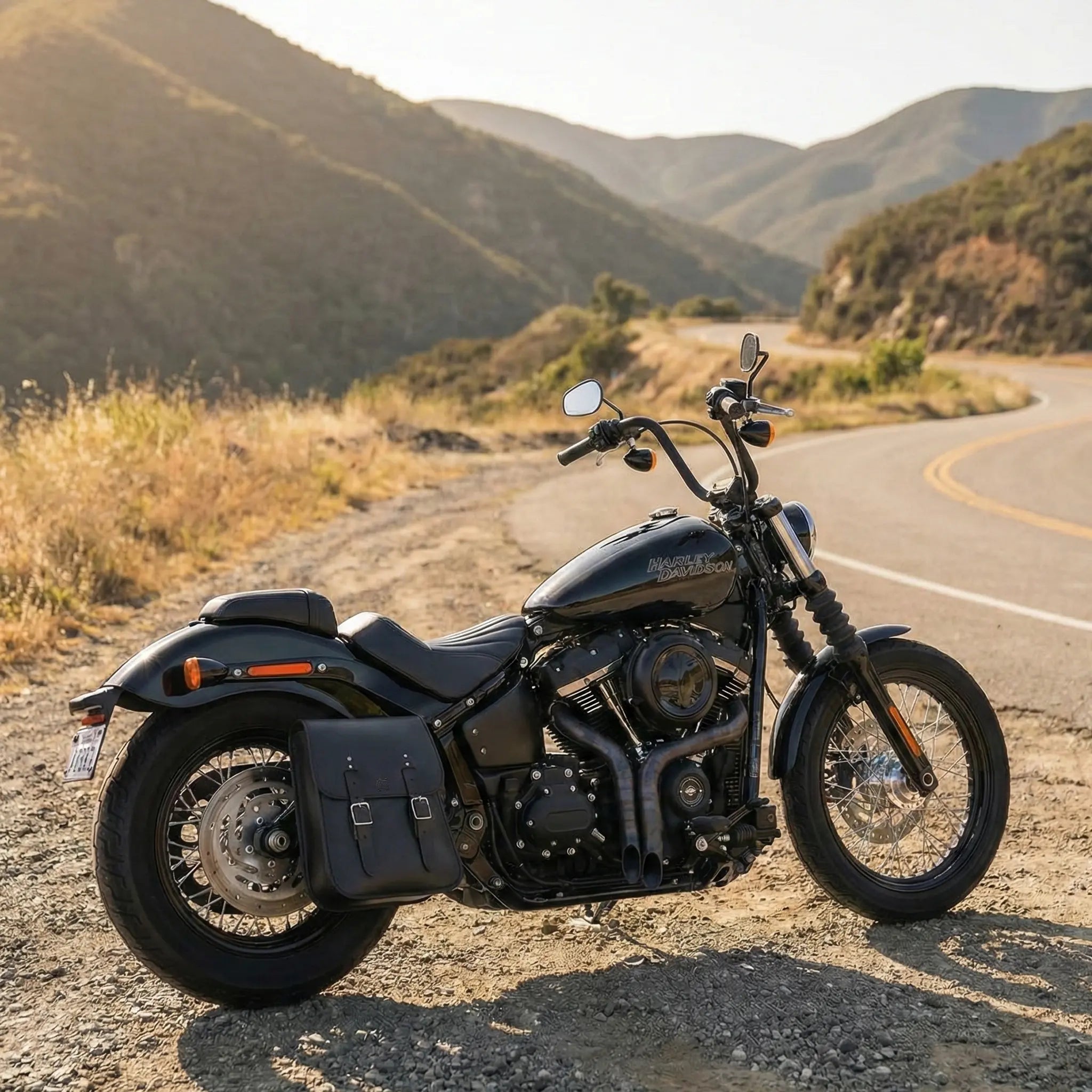 HD® Softail Solotasche für die linke Seite – SHL02